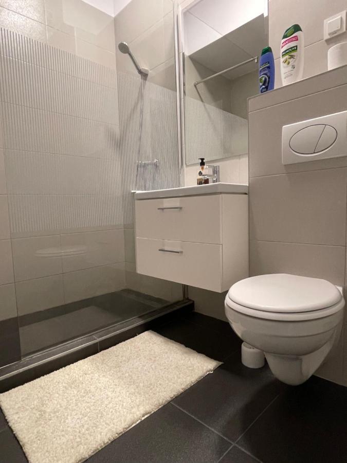 Studio Apartment Palas Mall Iasi Luaran gambar